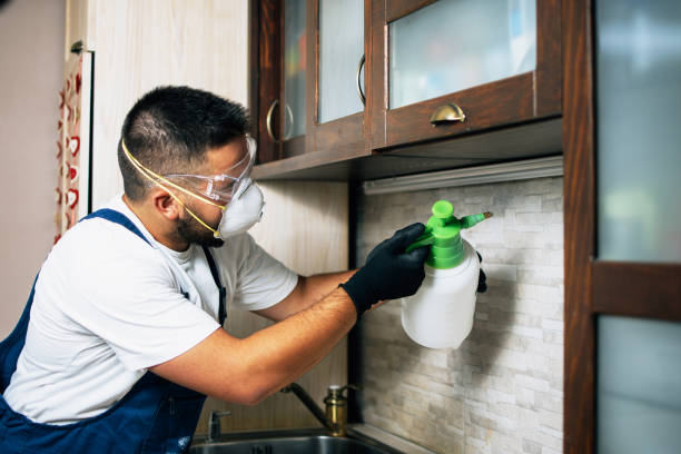 Pest Control Cost in Maysville, NC