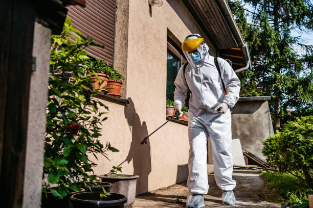 Best Best Pest Control Companies  in Maysville, NC