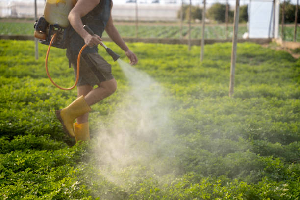 Pest Prevention Services in Maysville, NC