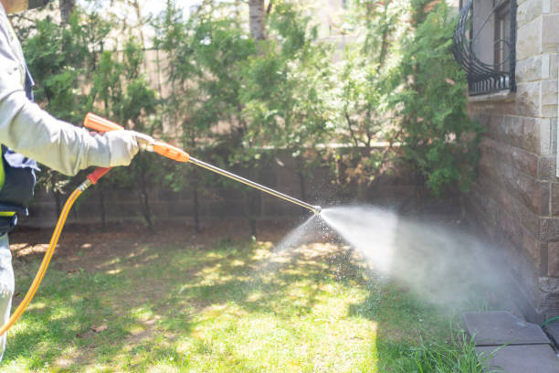Best Mosquito Control Services  in Maysville, NC